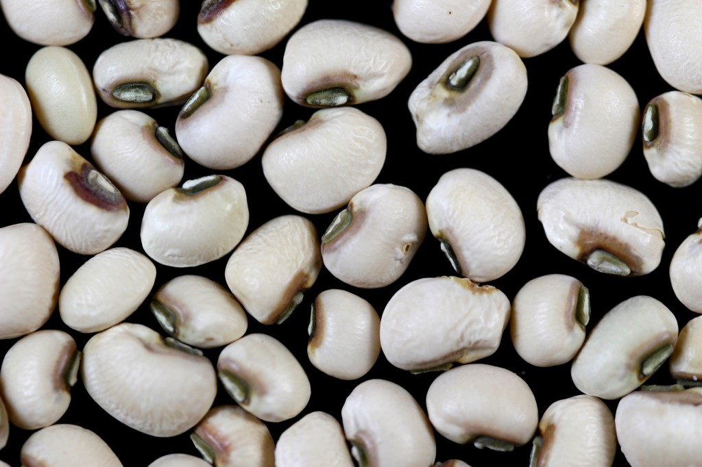 Image: Black Eyed Peas by Sanjay ach (License: CC BY-SA 3.0 Unported)