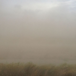 "Dust storm (haboob) on west side of Twin Falls, Idaho on July 4, 2013" (credit: Famartin, license: CC-BY-SA)