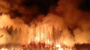 Drought & Wildfire