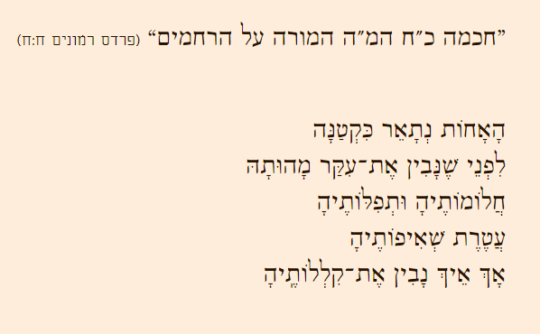 אחות קטנה במאה ה -21 | A 21st century “Aḥot Ḳetanah” (Little Sister), by Rabbi Dr. Raysh Weiss
