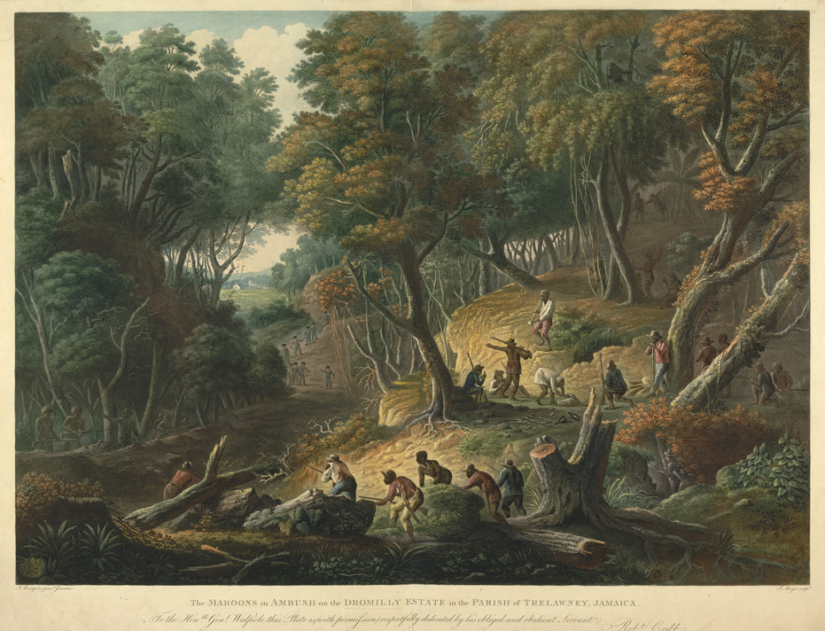 The_Maroons_In_Ambush_On_The_Dromilly_Estate_In_The_Parish_Of_Trelawney,_Jamaica_in_1795