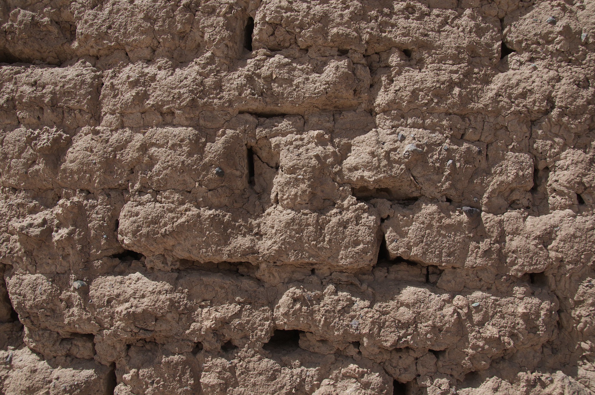 Ancient Mud-Brick Wall [citadel of Rayen, Iran] (A. Davey, CC BY)