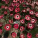 A Prayer for October 7, Three Years Later — by Rabbi Menachem Creditor
